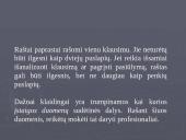 Raštų rengimas 3 puslapis