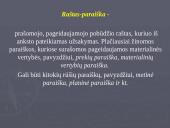 Raštų rengimas 9 puslapis