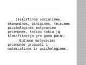 Motyvuotas darbuotojas = efektyvus darbas  5 puslapis