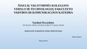 Mokslinių straipsnių tezių pristatymas 12 puslapis