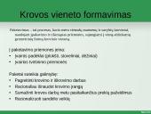 Įpakavimas ir markiravimas 3 puslapis