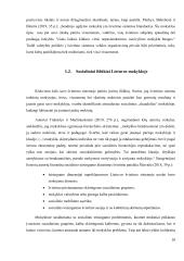 Lietuvos ir Japonijos švietimo sistema  10 puslapis
