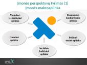 UAB „Intermedix Lietuva" marketingo strategijos tobulinimo planas 3 puslapis