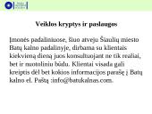 Įvadinės informacijos struktūrų praktikos ataskaita įmonėje 12 puslapis