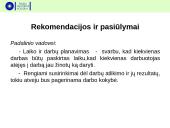 Įvadinės informacijos struktūrų praktikos ataskaita įmonėje 16 puslapis