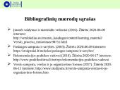 Įvadinės informacijos struktūrų praktikos ataskaita įmonėje 17 puslapis