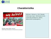 Įvadinės informacijos struktūrų praktikos ataskaita įmonėje 8 puslapis