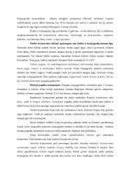 Kraujotaka 7 puslapis