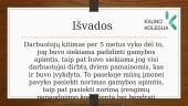Įmonės „Katilų pasaulis“ veiklos analizė 11 puslapis