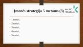 Įmonės „Katilų pasaulis“ veiklos analizė 8 puslapis
