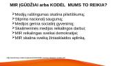 Informacinio ir medijų raštingumo koncepcija 13 puslapis