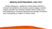Informacinio ir medijų raštingumo koncepcija 6 puslapis
