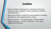 „FoodExpress“ įmonės pristatymas 2 puslapis