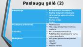 „FoodExpress“ įmonės pristatymas 8 puslapis