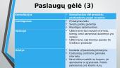 „FoodExpress“ įmonės pristatymas 9 puslapis