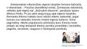 Etiketo ir protokolo sampratos bei ištakos 6 puslapis