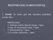 Asmeninių dokumentų rengimas 11 puslapis