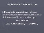 Asmeninių dokumentų rengimas 7 puslapis