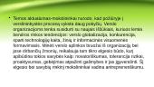 Antreprenerystės procesas 2 puslapis