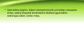Antreprenerystės procesas 11 puslapis