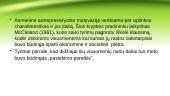 Antreprenerystės procesas 12 puslapis