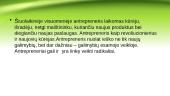 Antreprenerystės procesas 13 puslapis