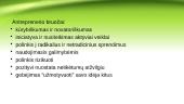 Antreprenerystės procesas 14 puslapis