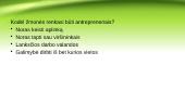 Antreprenerystės procesas 15 puslapis