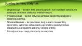 Antreprenerystės procesas 3 puslapis