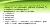 Antreprenerystės procesas 5 puslapis