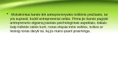 Antreprenerystės procesas 10 puslapis