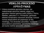 Įmonė "Spaustuvė" 18 puslapis