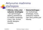 Marketingo strategija ir valdymas 16 puslapis