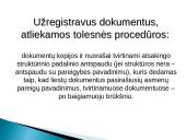 Dokumentų registravimas 11 puslapis