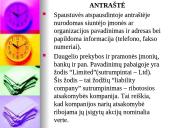 DALYKINIS SUSIRAŠINĖJIMAS SU UŽSIENIO PARTNERIAIS 13 puslapis