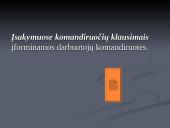 TEISĖS AKTAI IR JAIS TVIRTINAMI DOKUMENTAI 12 puslapis