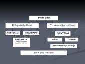 TEISĖS AKTAI IR JAIS TVIRTINAMI DOKUMENTAI 2 puslapis