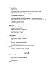 Visų autorių ir kūrinių aprašymai ir kontekstai 11 puslapis