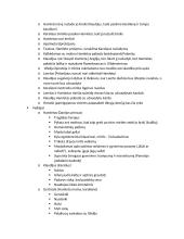 Visų autorių ir kūrinių aprašymai ir kontekstai 17 puslapis