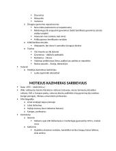 Visų autorių ir kūrinių aprašymai ir kontekstai 20 puslapis