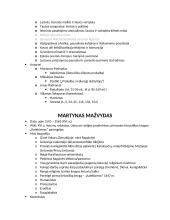 Visų autorių ir kūrinių aprašymai ir kontekstai 8 puslapis