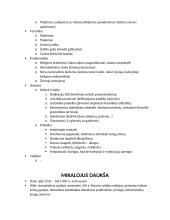 Visų autorių ir kūrinių aprašymai ir kontekstai 10 puslapis