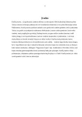 Kuršių marios ir jų ekosistema 3 puslapis