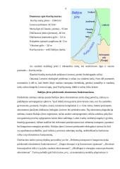 Kuršių marios ir jų ekosistema 4 puslapis