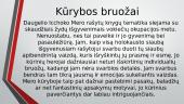 Icchoko Mero biografija ir kūrybos bruožai 4 puslapis