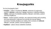 Širdis ir kraujo apytakos ratai 16 puslapis