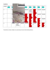 Sėklų daiginimas 2 puslapis