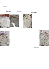 Sėklų daiginimas 5 puslapis