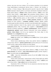 Leksikos populiarūs semantizmai 11 puslapis