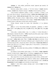 Leksikos populiarūs semantizmai 9 puslapis